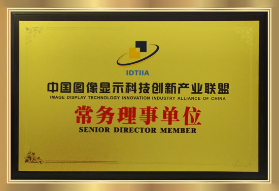 中国图像显示科技创新产业联盟